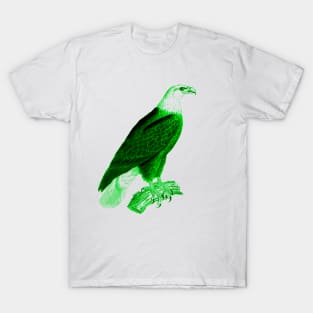 hawk,bald eagle,falcon,golden eagle,birdie,bird,bird of prey,raptor,aquila,vulture,heron,golf game,golf,eaglet,condor,haliaeetus,harpy eagle,beak,eagle putt,bird of jove,accipitridae,score,pigeon,owl,osprey T-Shirt